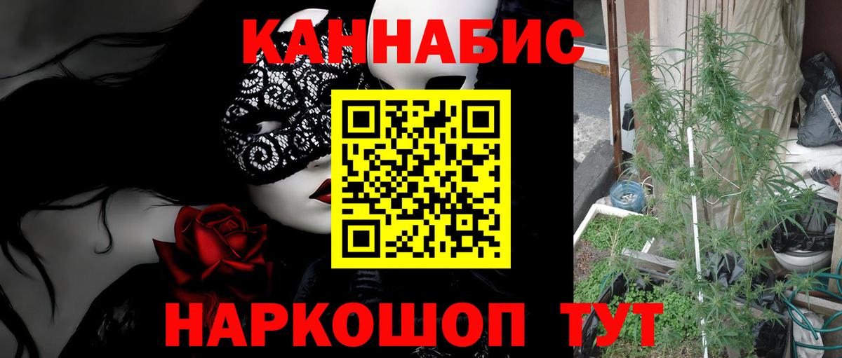 Канабис план  МАРИХУАНА ГИДРОПОН  Каннабис ГИДРОПОН  Вход с VPN  Тольятти 